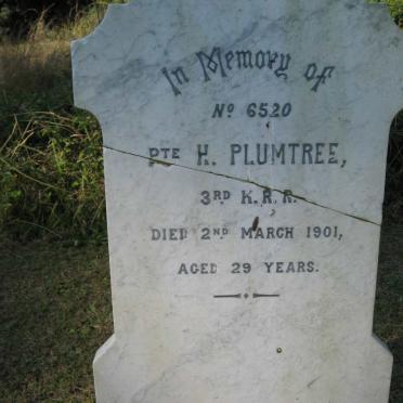 PLUMTREE H. -1901