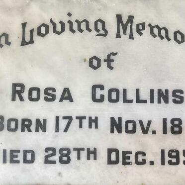 COLLINS Rosa 1871-1955