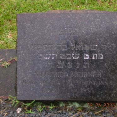 MEIDNER Siegfried 1884-1955