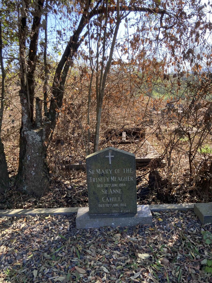 MEAGHER Mary of the Trinity -1984 :: CAHILL Anne -1985