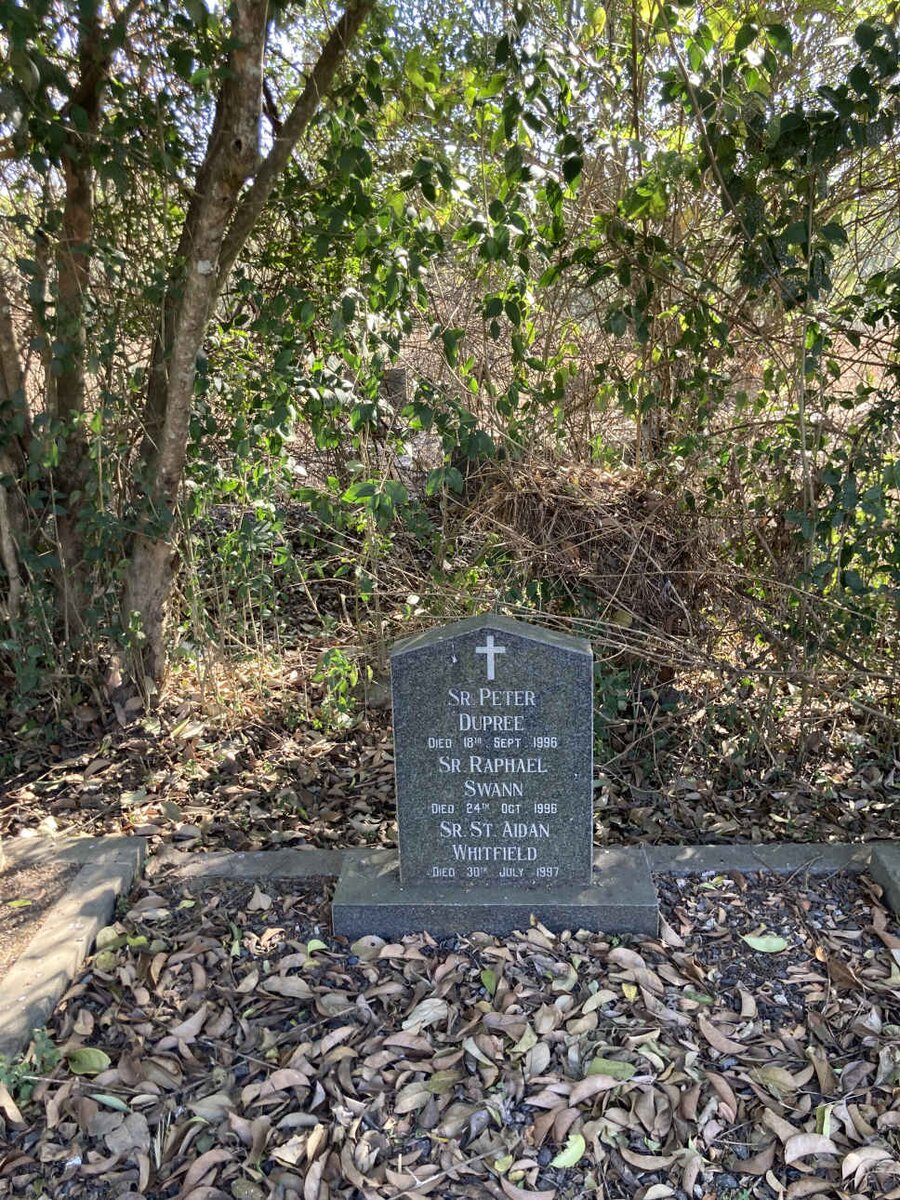 DUPREE Peter -1996 :: SWANN Raphael -1996 :: WHITFIELD St' Aiden -1997
