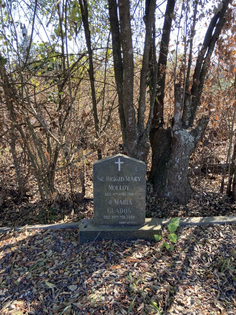 MOLLOY Brigit Mary -1986 :: GLADOS Maria -2000