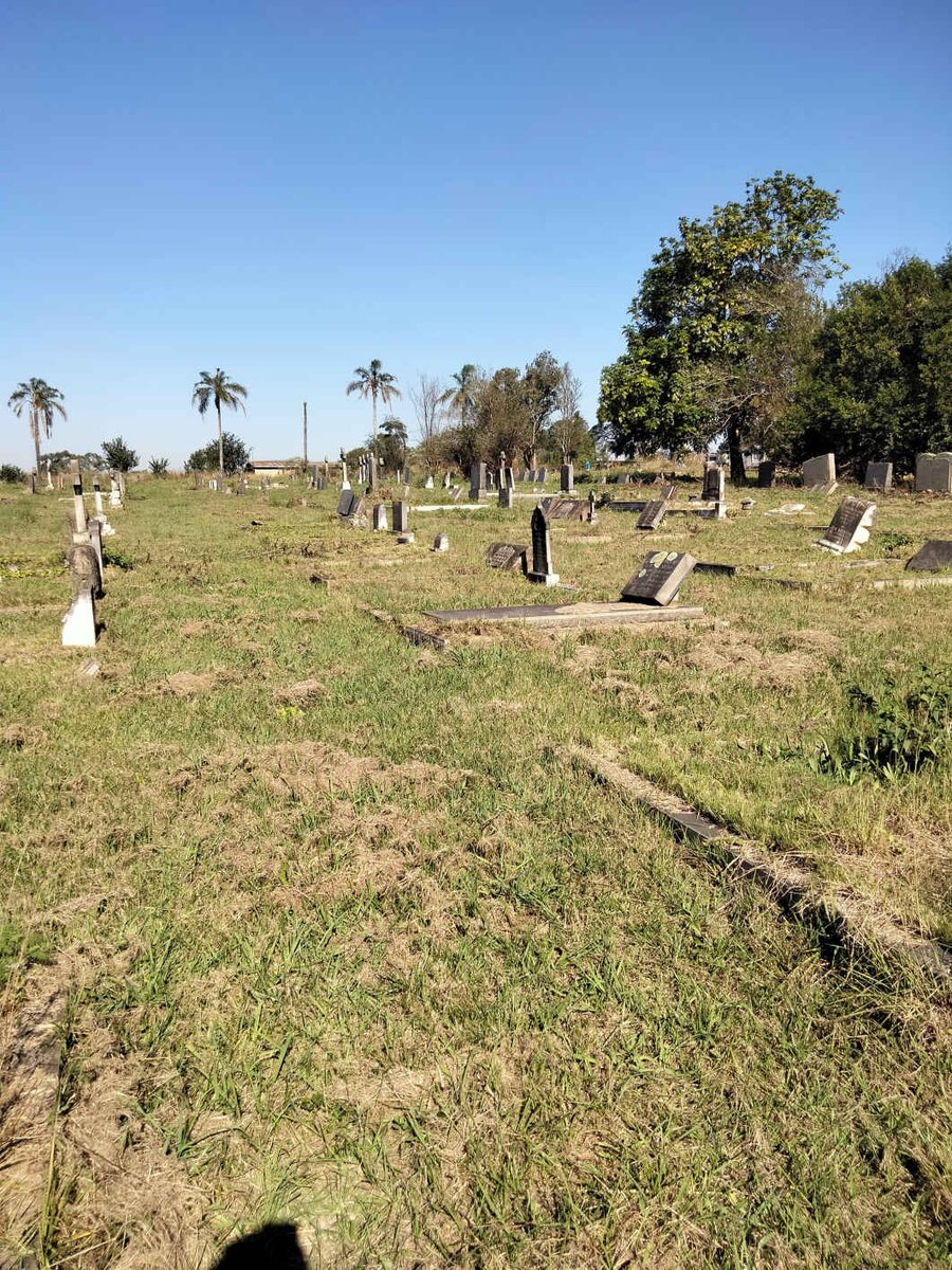 5. Overview of A-Section