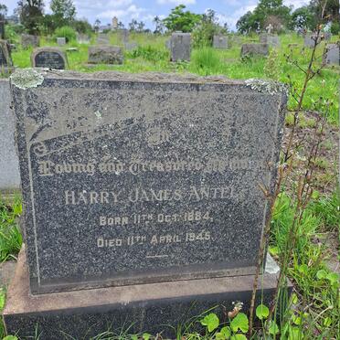 ANTEL Harry James 1884-1945