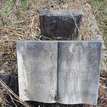 FREESE Harry Frederick -1948