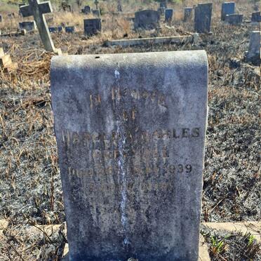 GREENALL Harold Charles -1939