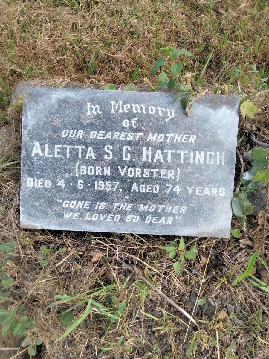 HATTINGH Aletta S.C. nee VORSTER -1957