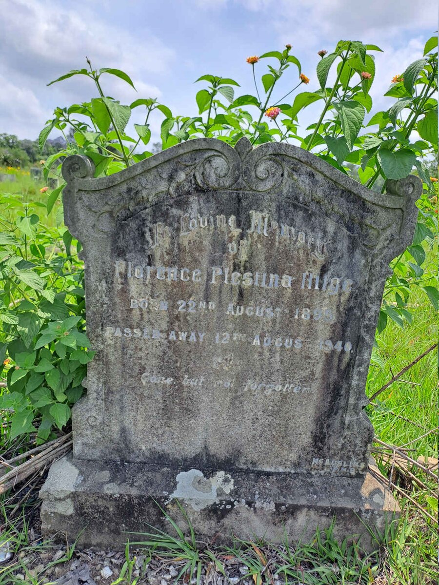 HITGE Florence Plestina 1895-1940