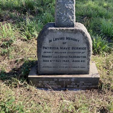HARRINGTON Robert  & Louisa -1961 :: HARRINGTON Patricia Mave Bernice -1945