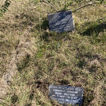 JOHNSON Peter John 1900-1945 :: LIEBENBERG Agnes Mary formerly JOHNSON nee MUTTON 1909 -1967 :: MUTTON Beatrice  1883-1964