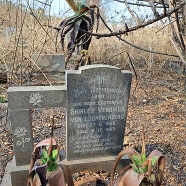 LOCHERENBERG Shirley Veronica, van 1969-1969