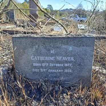 NEAVES Catherine 1877-1956