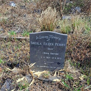 PERRY Sheila Eileen nee HINTON 1934-1972