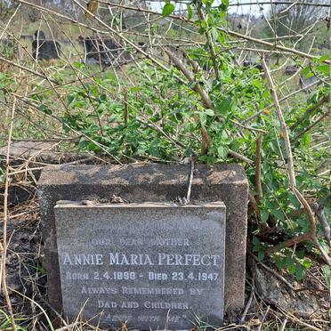 PERFECT Annie Maria 1890-1947