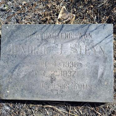 STEYN Hendrik J. 1936-1937