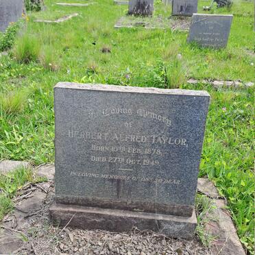 TAYLOR Herbert Alfred 1878-1949