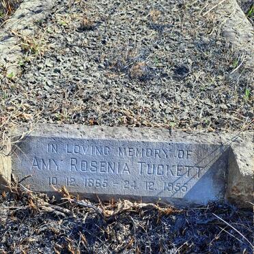 TUCKETT Amy Rosenia 1865-1955