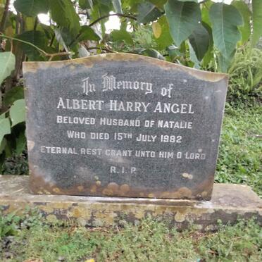 ANGEL Albert Harry -1982