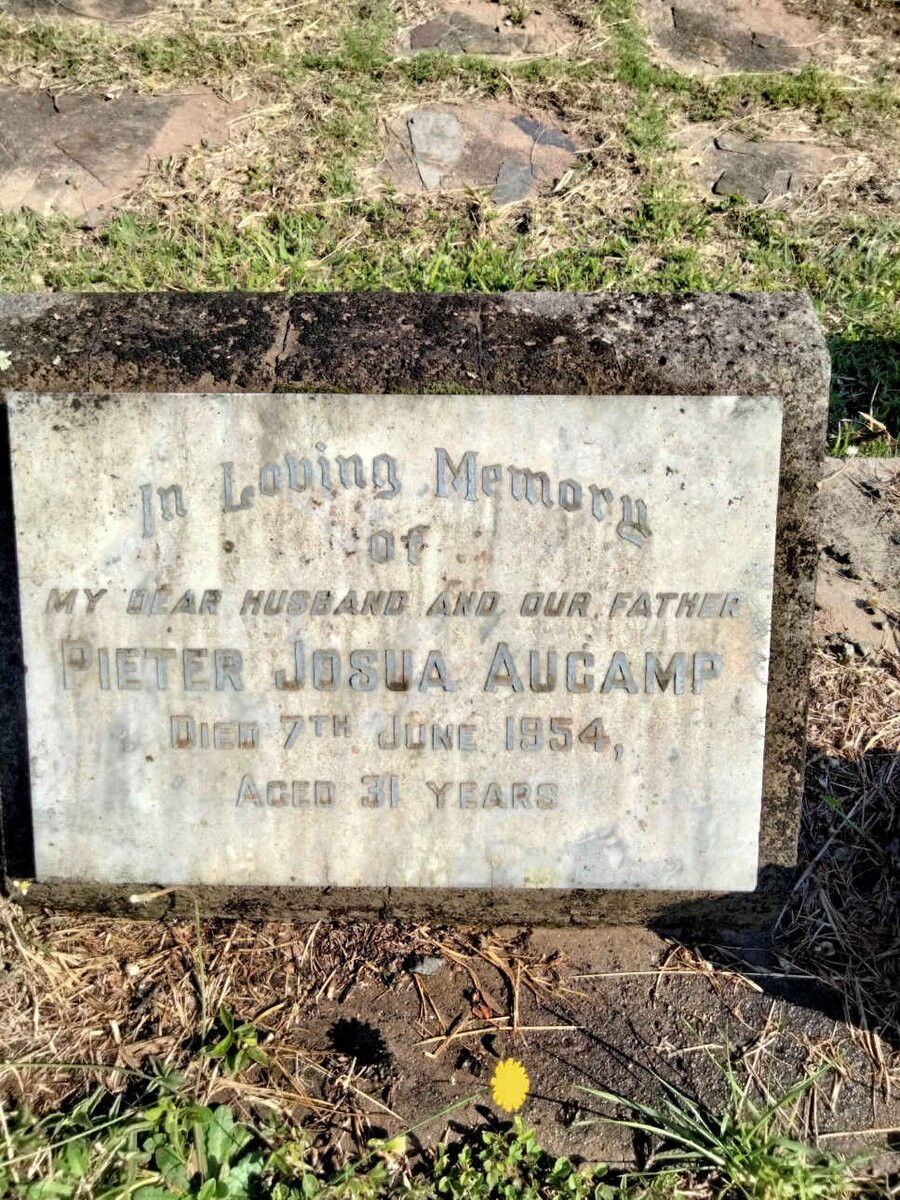 AUCAMP Pieter Josua -1954