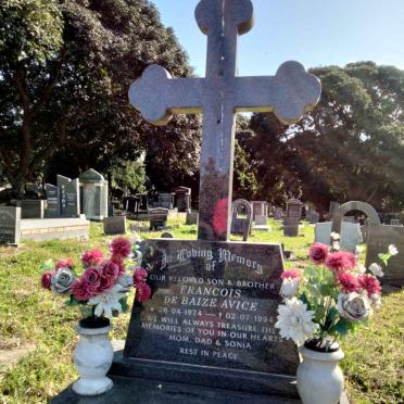 AVICE Francois de Baize 1974-1994