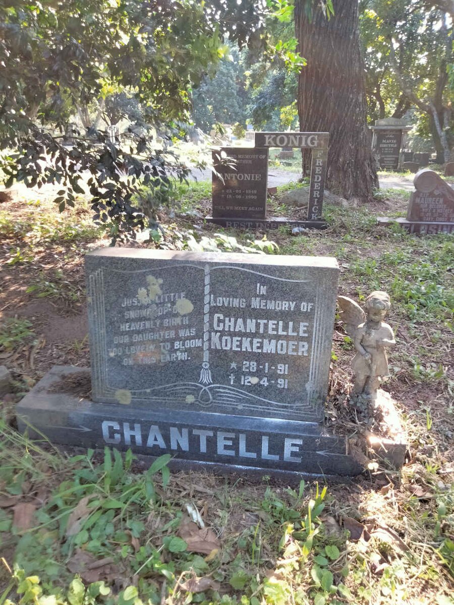 KOEKEMOER Chantelle 1991-1991
