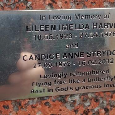 HARVEY Eileen Imelda 1923-1976 :: STRYDOM Candice Anne 1972-2012