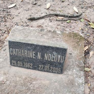 NDLOVU Catherine N. 1962-2006