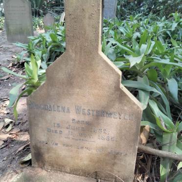 WESTERMEYER Magdalena 1882-1886