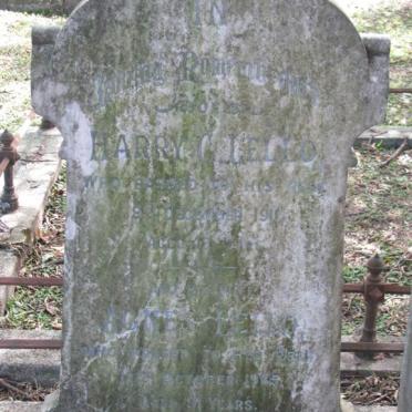 LELLO Harry C. 1869-1911 &amp; Agnes 1854-1965