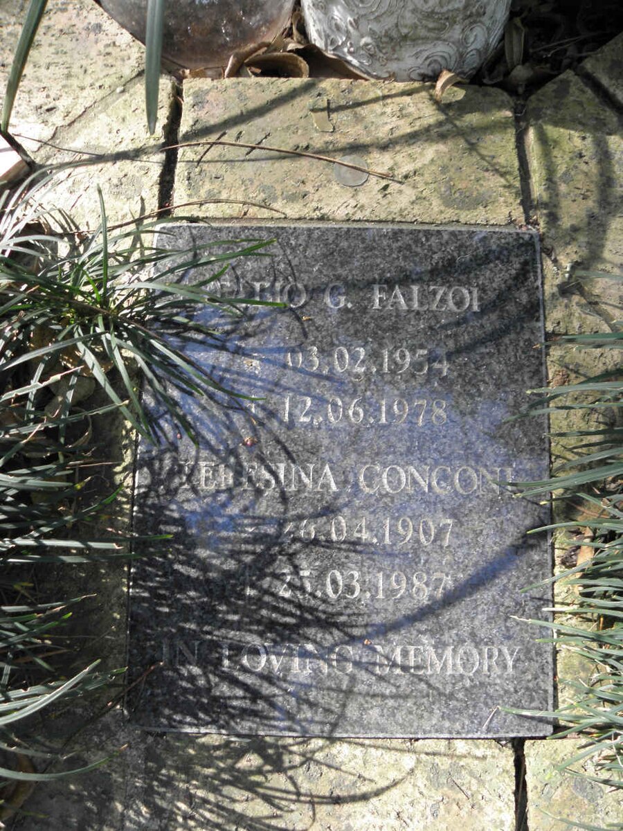 FALZOI ?alio G. 1954-1978 :: CONCONI Teresina 1907-1987