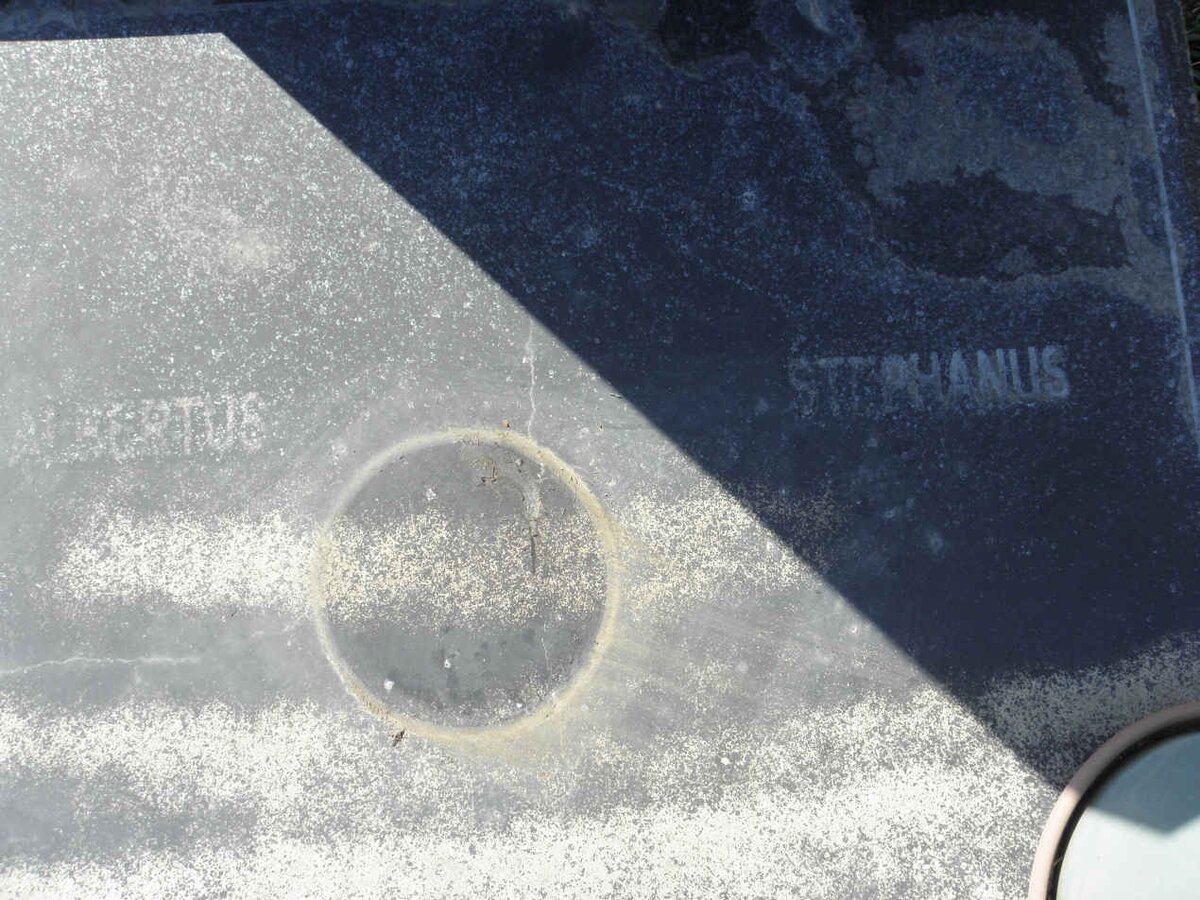 ? Albertus Stephanus