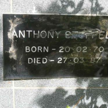 STOPPELS Anthony 1970-1987