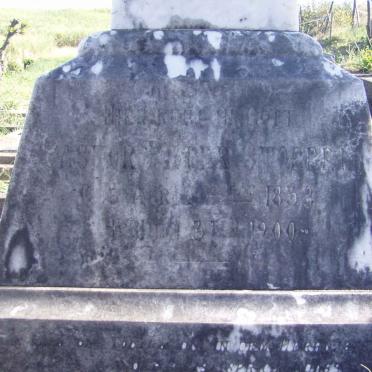 STOPPEL Peter 1833-1900