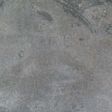 BIZONY Ann Stephenson nee DRACE 1933-1983