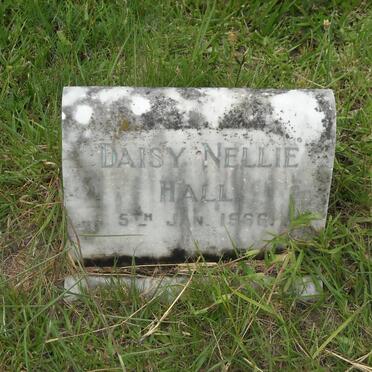 HALL Daisy Nellie -1966