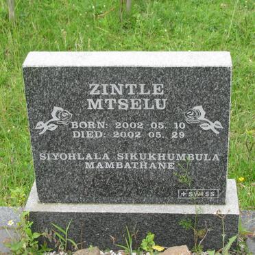 MTSELU Zintle 2002-2002