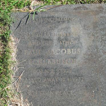 SCHLEBUSCH Paul Jacobus 1929-1972