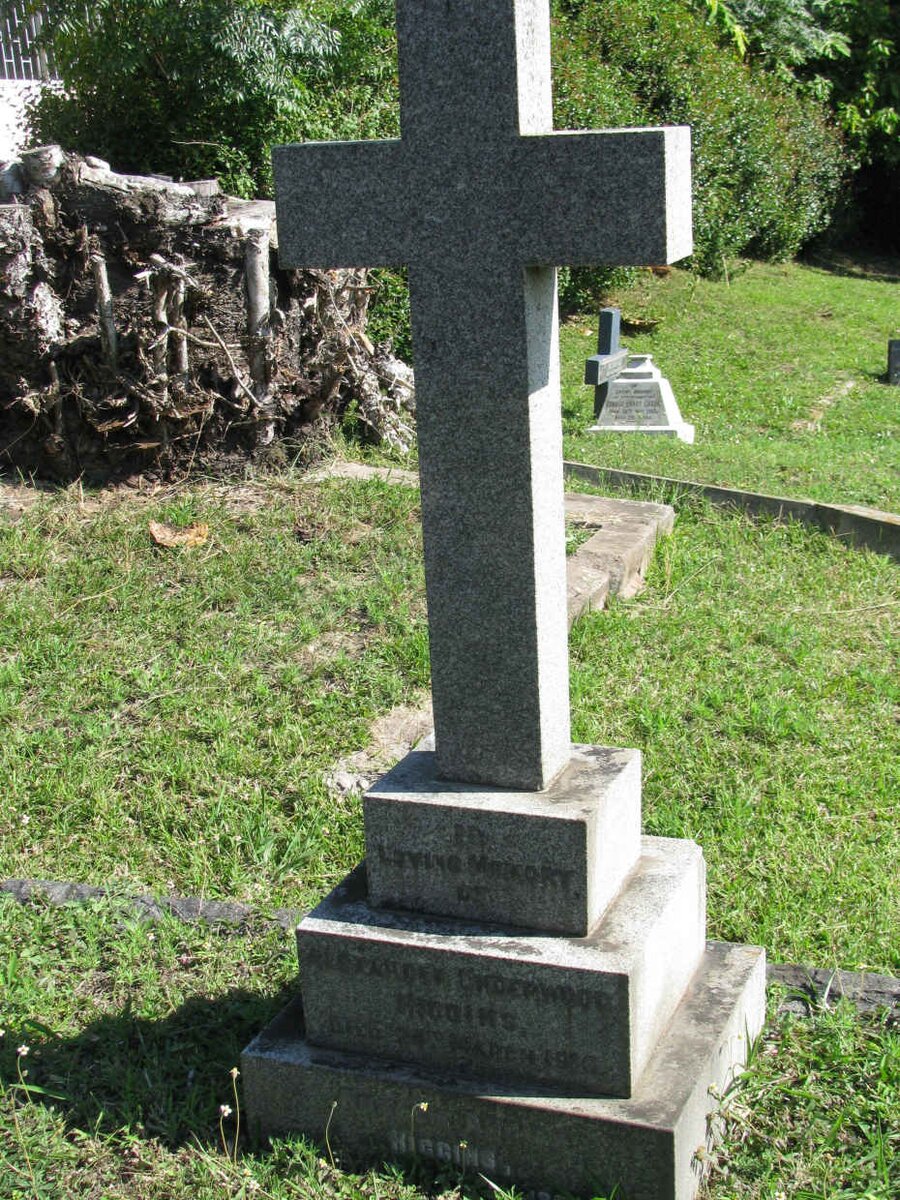 HIGGINS Alexander Underwood -1916 &amp; Rosalie Angier -1931