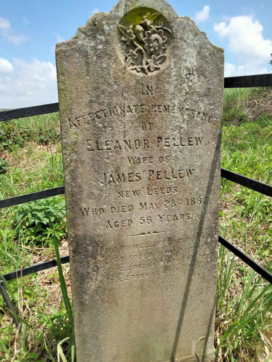 PELLEW Eleanor -1882