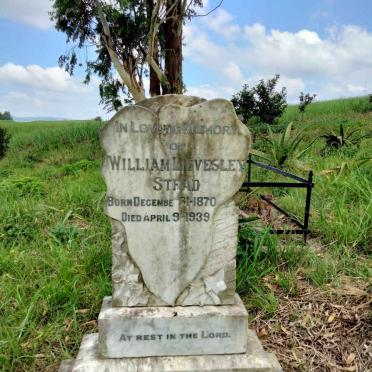 STEAD William Lievesley 1870-1939