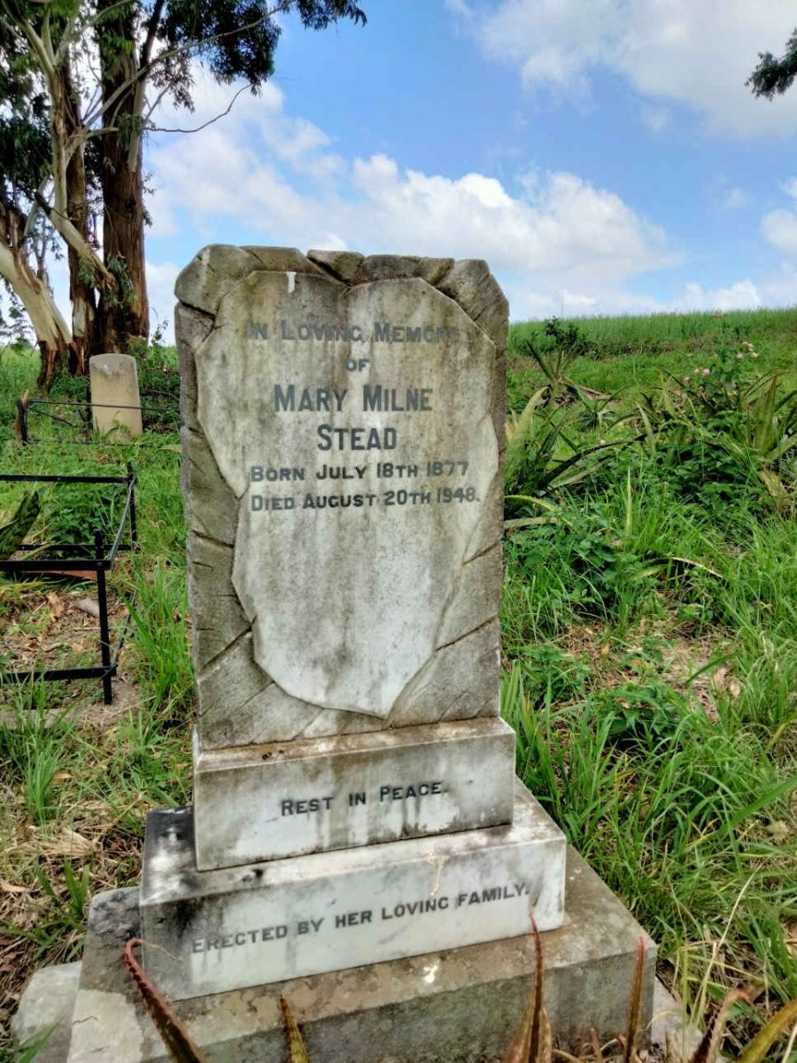 STEAD Mary Milne 1877-1948