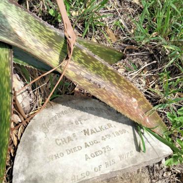 WALKER Charles -1899 & wife