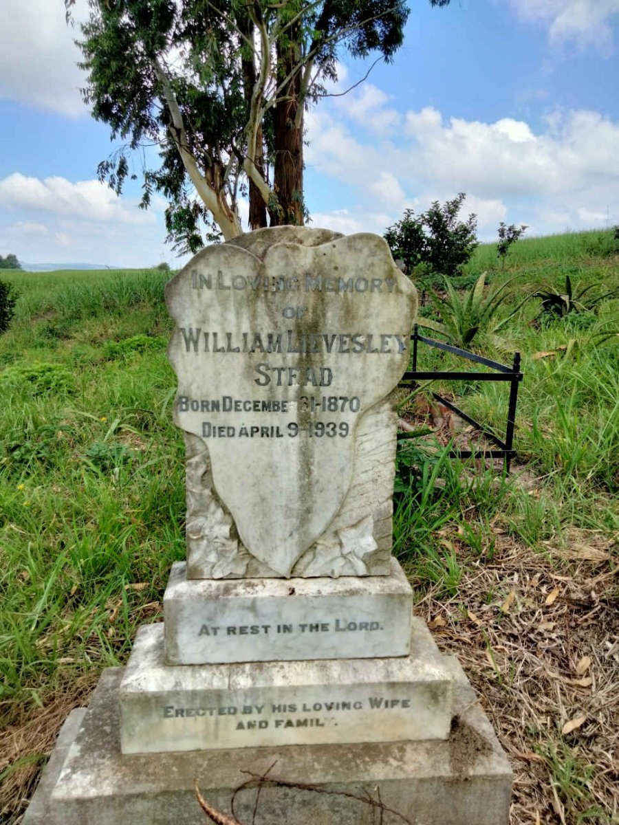 STEAD William Lievesley 1870-1939