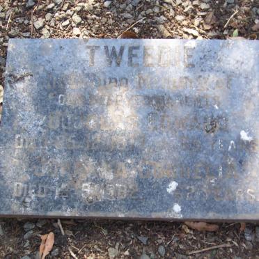 T - Vanne :: Surnames - T