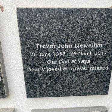 LLEWELLYN Trevor John 1938-2017