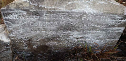 PRITCHARD Francis Bowen :: PRITCHARD Horatio Ernest -1882