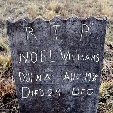 WILLIAMS Noel