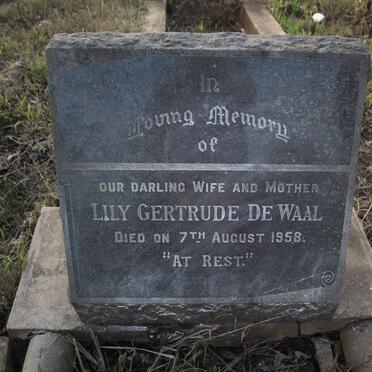 WAAL Lily Gertrude, de -1958