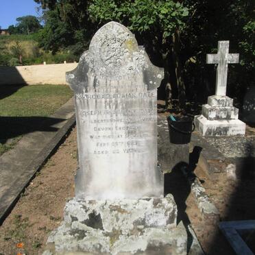 DATE Nicholas Adams -1913 