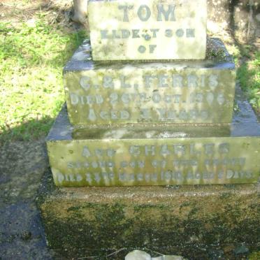 FERRIS Tom -1906 :: FERRIS Charles -1910